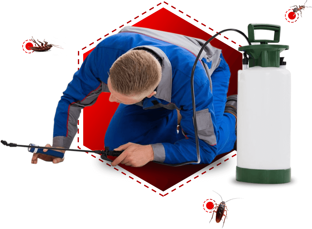 Pest Control Worker Spraying Pesticides