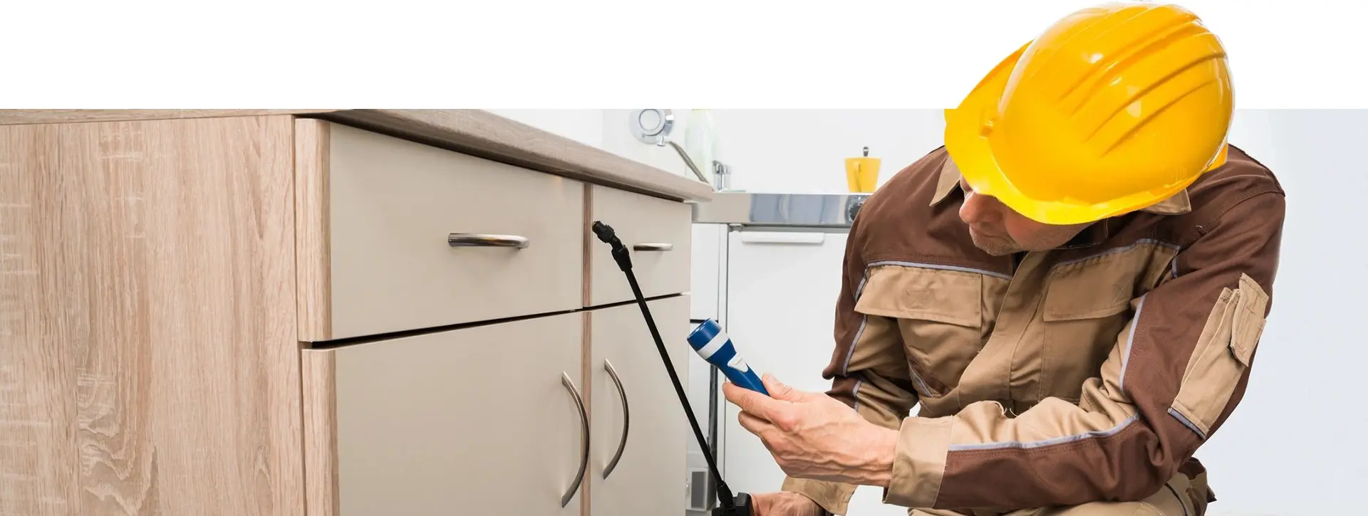 Man Wearing Hardhat Spraying Pesticide Inside the Wooden Cabinet