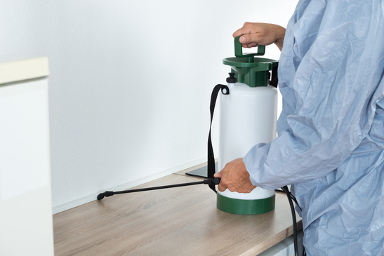 Top 4 Reasons Why Hiring a Toronto Bed Bug Exterminator is Better Than Do-it-yourself Methods