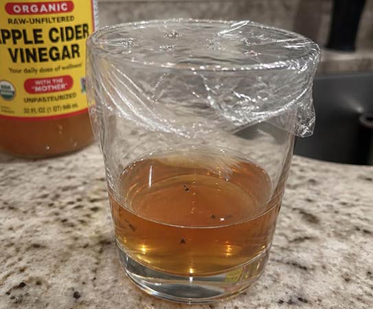 DIY home remedy apple cider vinegar for fruit flies