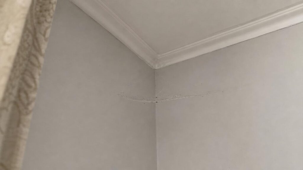 Spider cobweb in corner of bedroom