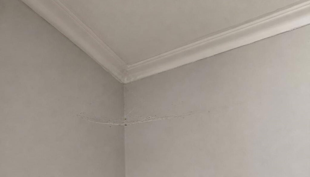 Spider cobweb in corner of bedroom