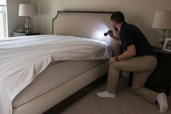Swift-X technician pulling back a fitted sheet to inspect a mattress for bed bugs in a Toronto bedroom