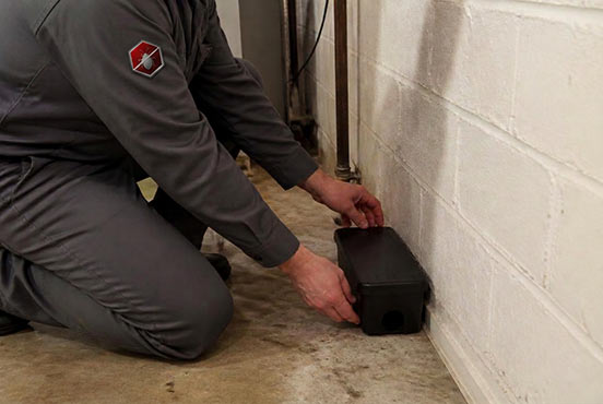 Swift-X Pest Control technician placing a tamper-resistant rodent bait station along a basement wall
